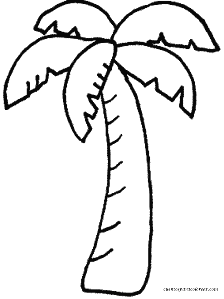 palm tree clip art coloring pages - photo #4