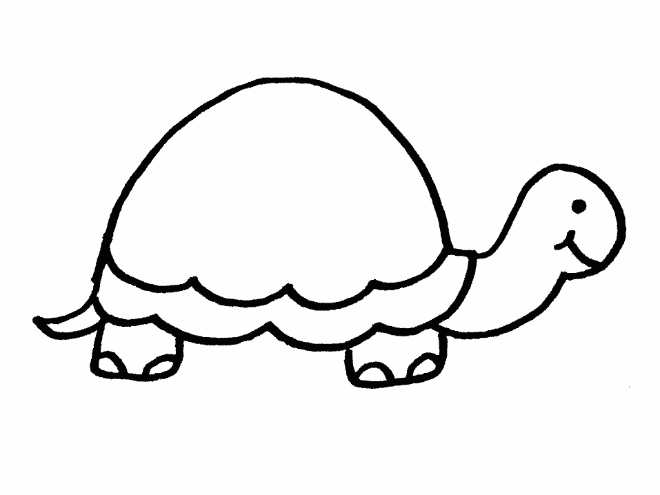 Dibujos para colorear tortugas