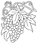 dibujo de un racimo de uva dibujo de cars disney para coloreardibujos de la cosecha de la uva para colorear y pintar