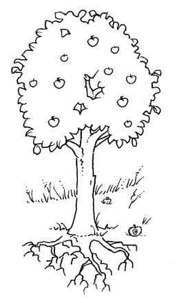 dibujo de un arbol en flor para colorear Dibujos para colorear el ciclo de las plantas