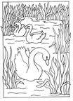 dibujos de cisnes para colorear y pintar
