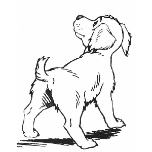 Dibujos para colorear perros