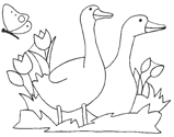 Dibujos para colorear gansos