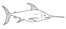 Dibujos para colorear peces pez espada