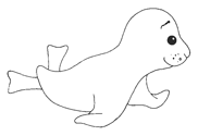 Dibujos para colorear focas
