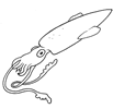 dibujo de un calamar para colorear dibujos para colorear y pintar de un acuario