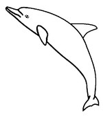 Dibujos para colorear delfines