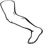 Dibujos para colorear del cuerpo humano pierna